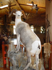 Click for full size image