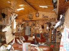 Click for full size image