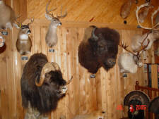 Click for full size image