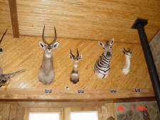 Click for full size image