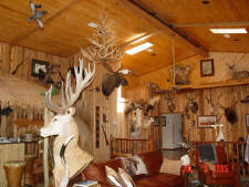 Click for full size image