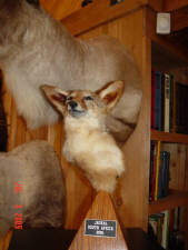 Click for full size image