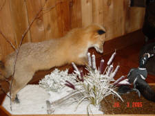 Click for full size image