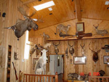 Click for full size image