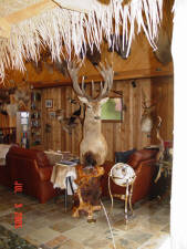 Click for full size image